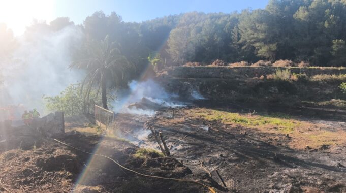Susto en Alzira: una quema se descontrola y alcanza una zona de pinar