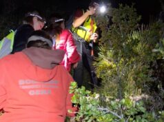 Susto en Alzira: una madre y sus hijas, desorientadas en plena ruta