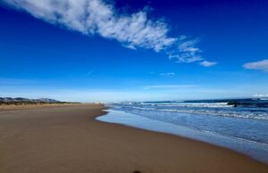 El Consell presenta sus alegaciones al nuevo reglamento de Costas para asegurar la protección del litoral