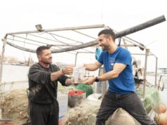 La Conselleria de Agricultura y la Fundación Oceanogràfic refuerzan la protección de los caballitos de mar con el apoyo del sector pesquero