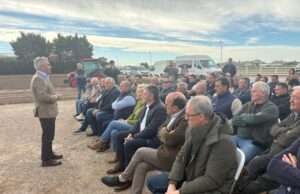 La Generalitat Valenciana Destina 2 Millones de Euros en Ayudas Directas a los Agricultores de la Huerta de València