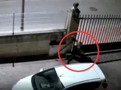 VÍDEO | Algemesí explota contra los robos en coches tras otra noche de ventanillas rotas
