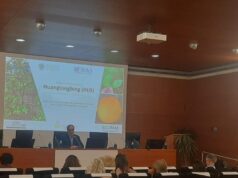La Agricultura Valenciana Destaca la Importancia de Prevenir y Controlar el HLB para Proteger la Citricultura