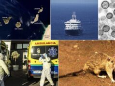 El Instituto Coordenadas advierte del impacto turístico de la crisis del MV Hondius en Canarias