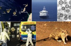 El Instituto Coordenadas advierte del impacto turístico de la crisis del MV Hondius en Canarias