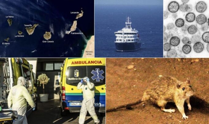 El Instituto Coordenadas advierte del impacto turístico de la crisis del MV Hondius en Canarias