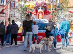 Los dueños más incívicos de Alzira ya tienen un nuevo problema