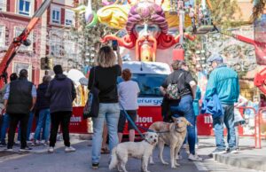 Los dueños más incívicos de Alzira ya tienen un nuevo problema