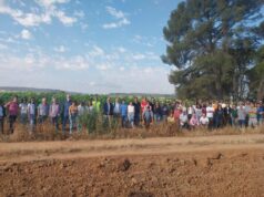 El Consell refuerza su apoyo al sector vitivinícola en busca de sostenibilidad y competitividad