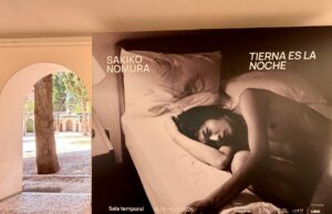 Inauguración de la Exposición de Sakiko Nomura en el Museu de Belles Arts de Castelló
