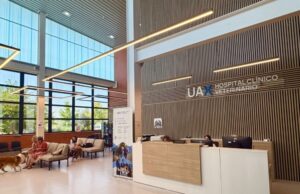 UAX refuerza su liderazgo veterinario tras dos décadas de actividad clínica y académica