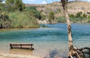 Conmoción en Alfarb por la muerte de un joven mientras se bañaba en el Xúquer