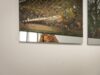 El Centre del Carme Cultura Contemporània acoge la exposición ‘Verse expuest_’ de Rocío Garriga, que reflexiona sobre los zoos bombardeados en la II Guerra Mundial