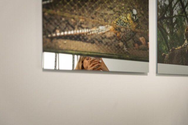 El_Centre_del_Carme_Cultura_Contemporania_acoge_la_exposicion_‘Verse_expuest__de_Rocio_Garriga_que_reflexiona_sobre_los_zoos_bombardeados_en_la_II_Guerra_Mundial.jpg