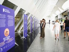 El Museu de les Ciències Presenta la Exposición sobre los Premios Rei Jaume I 2026