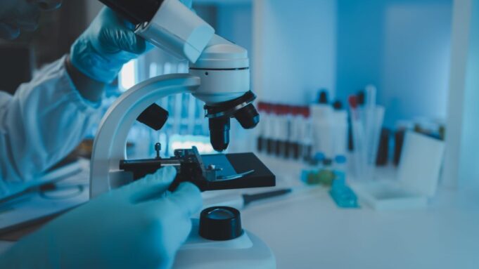 La inteligencia artificial permitirá a IVI RMA mejorar los procesos de reproducción asistida
