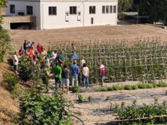 La Conselleria de Agricultura impulsa la mejora genética de tomates tradicionales en colaboración con la UPV