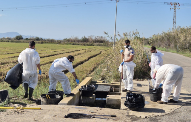 La_Generalitat_ejecuta_173_actuaciones_de_conservacion_en_lAlbufera_en_el_primer_cuatrimestre_de_2026.png