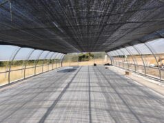 La Generalitat mejora el vivero de La Yesa con nuevas infraestructuras para aumentar la producción de plantas autóctonas