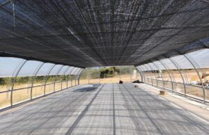 La Generalitat mejora el vivero de La Yesa con nuevas infraestructuras para aumentar la producción de plantas autóctonas