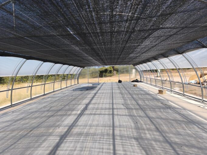 La Generalitat mejora el vivero de La Yesa con nuevas infraestructuras para aumentar la producción de plantas autóctonas