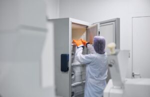 Los óvulos vitrificados no caducan biológicamente y superan el 95% de supervivencia tras la descongelación