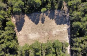 Requena y Utiel recuperan bancales y aljibes para proteger el territorio frente a los incendios