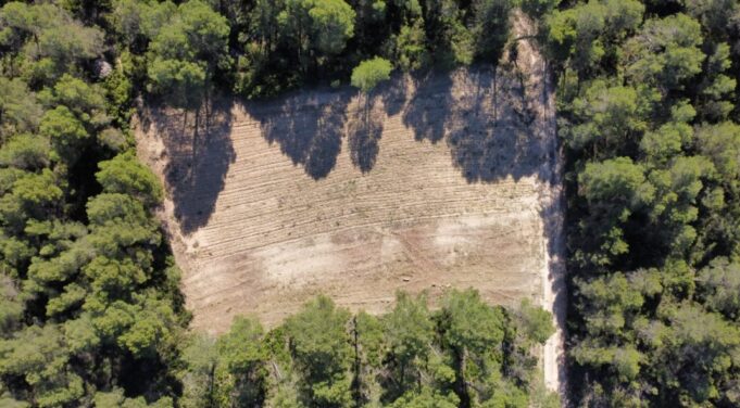 Requena y Utiel recuperan bancales y aljibes para proteger el territorio frente a los incendios
