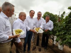 Anuncio de nueva ayuda de 8 millones de euros para jóvenes agricultores en la Comunitat Valenciana