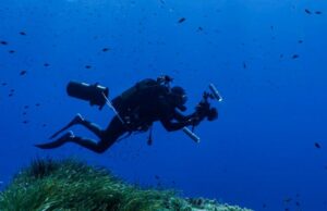 Bluewave Alliance promueve la exploración del Banco Talbot para conocer y proteger su biodiversidad