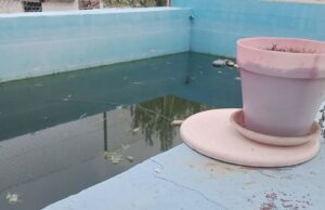 El estado de un chalet de Alginet reaviva el miedo de muchos propietarios