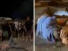 Puñetazos, patadas e insultos: una violenta agresión durante las fiestas sacude Tavernes