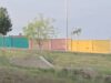 VÍDEO | El inesperado “vecino” que se ha dejado ver frente a un colegio de Alzira