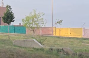 VÍDEO | El inesperado “vecino” que se ha dejado ver frente a un colegio de Alzira