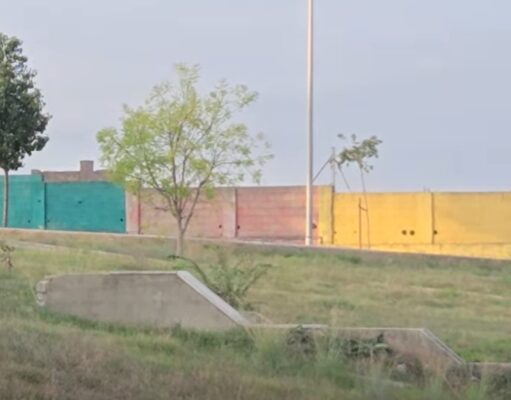 VÍDEO | El inesperado “vecino” que se ha dejado ver frente a un colegio de Alzira