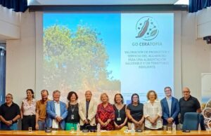 El cultivo del algarrobo recibe apoyo gubernamental por su resistencia a la sequía
