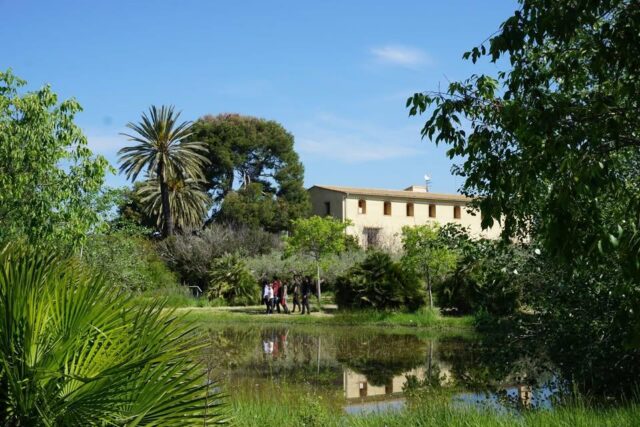La_Generalitat_de_Valencia_lanza_nuevos_cursos_gratuitos_para_fomentar_la_sostenibilidad_y_el_conocimiento_ambiental.jpg