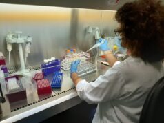 Las Fundaciones de Investigación Sanitaria en la Comunitat Valenciana Superan las 1.000 Iniciativas Contra el Cáncer