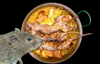 La paella que nadie te contó: la rata se escondió en la receta más famosa de Valencia