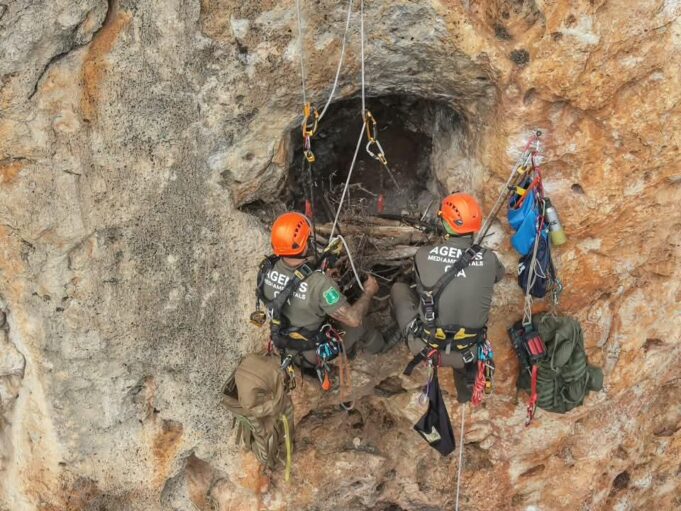 Agentes medioambientales de la Generalitat reconstruyen nidos de águila perdicera tras devastador incendio en la Sierra de Espadán