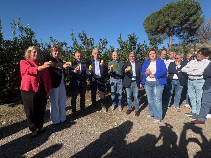 Barrachina destaca la importancia de la Vega Baja en la producción de limón durante el Corte del Limón en Orihuela