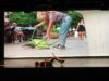El Teatre Rialto de València estrena la obra ‘Cadira verda’ de Tomás Verdú