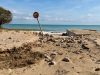 La Generalitat exige al Gobierno central la limpieza de las playas tras el paso de la dana Adam