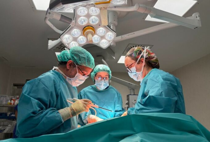 Diástasis, cálculos biliares y hemorroides: los cambios del embarazo que requieren atención